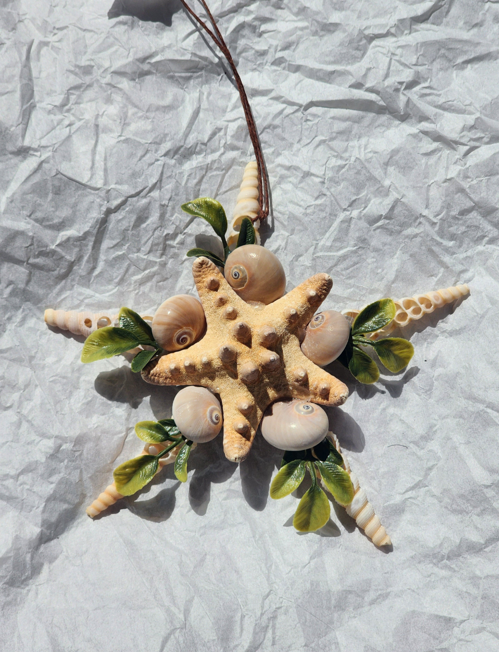 Half Shell Ornament # 5