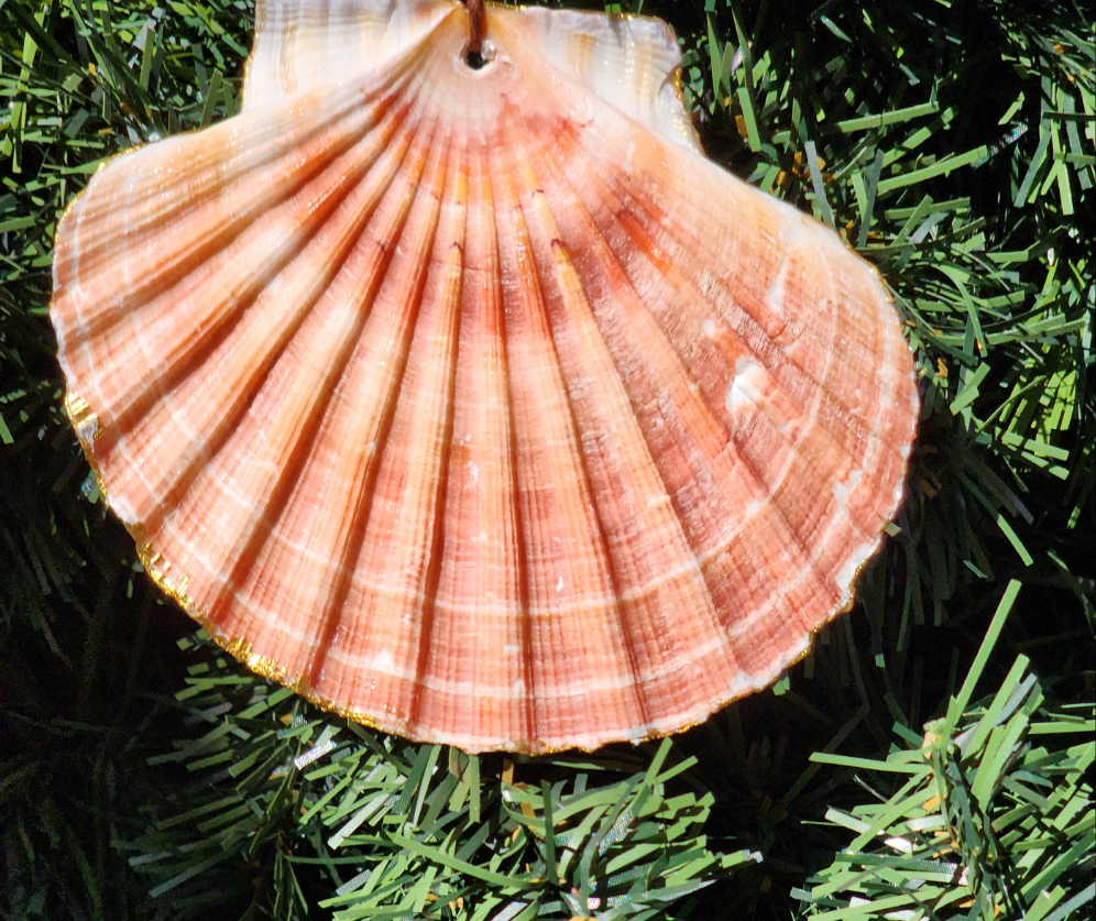 Sea Turtle Ornament