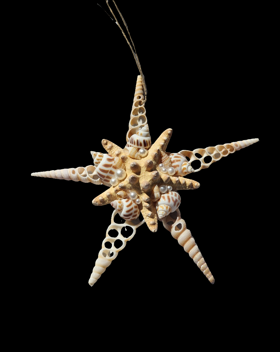 Half Shell Ornament # 3