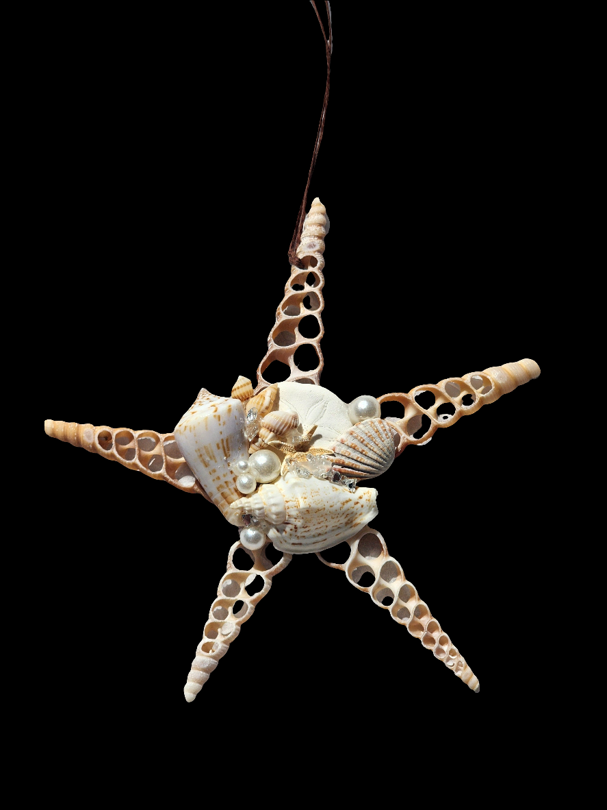 Half Shell Ornament # 7