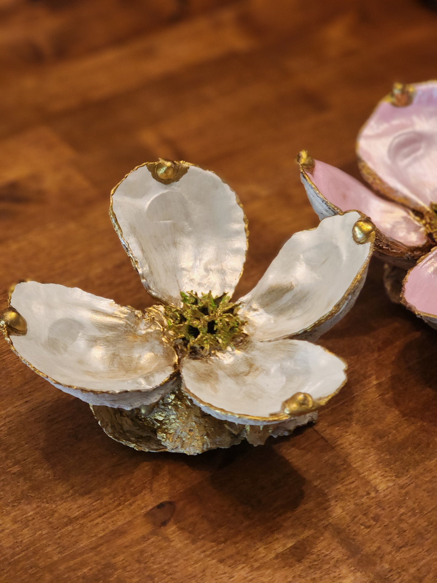 White Dogwood Bloom
