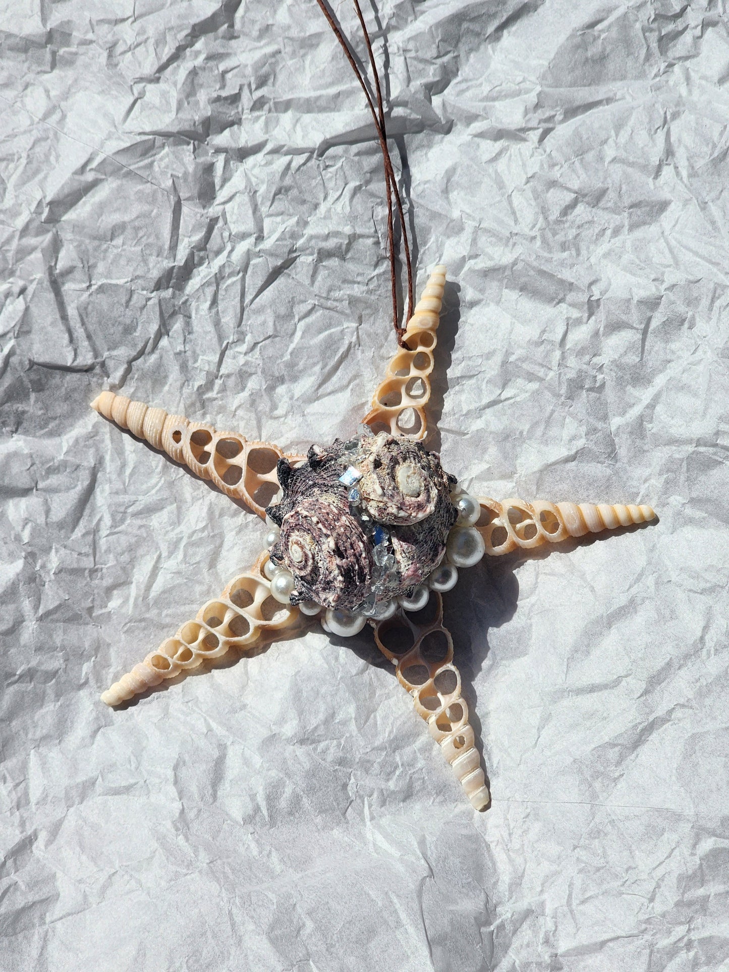 Half Shell Ornament #2