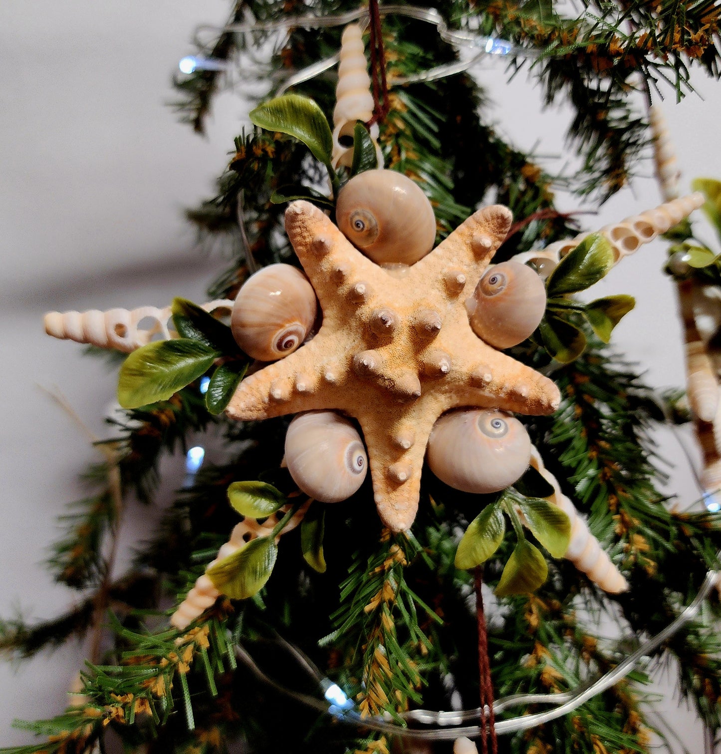 Half Shell Ornament # 5