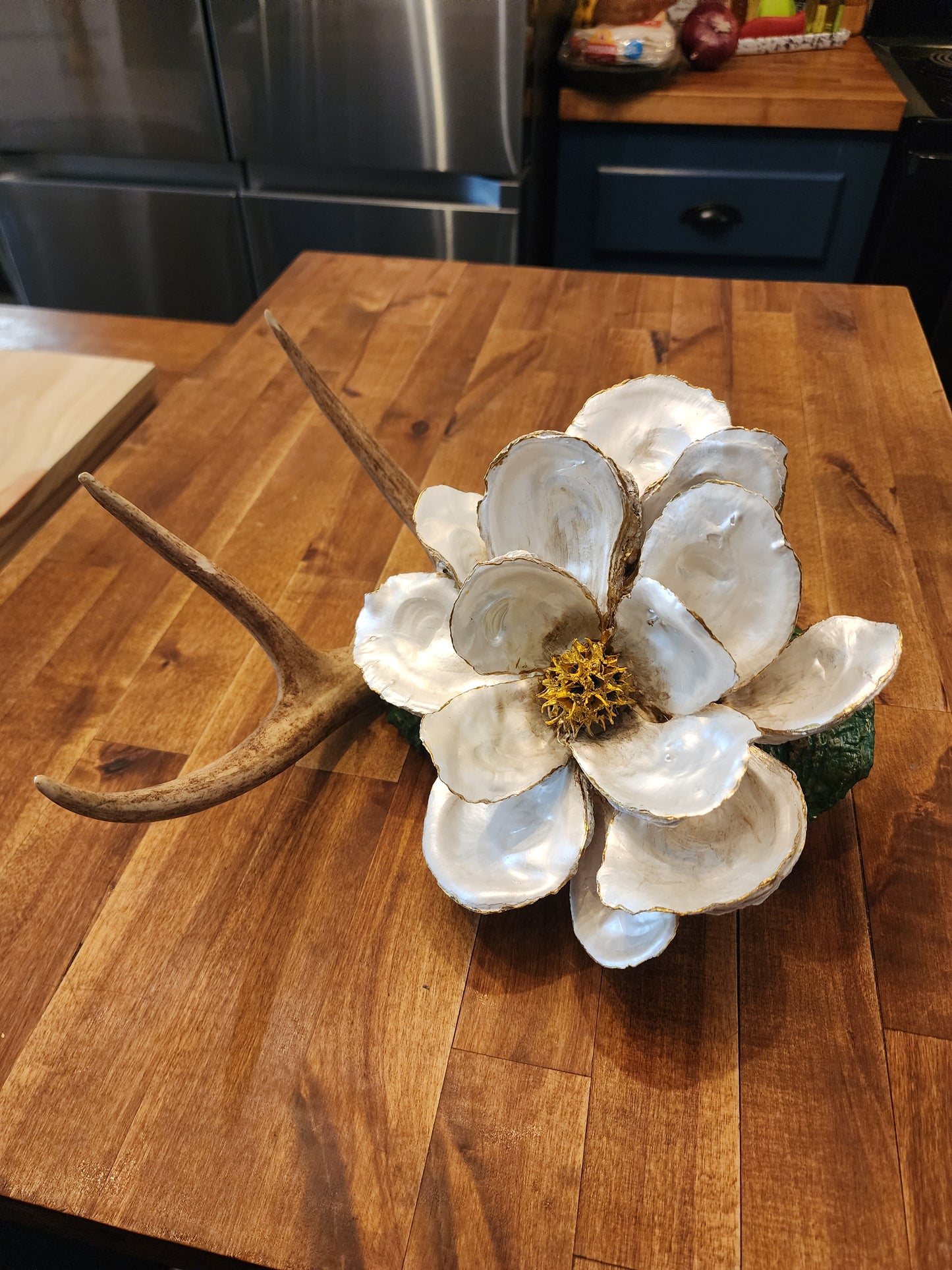 Magnolia Bloom