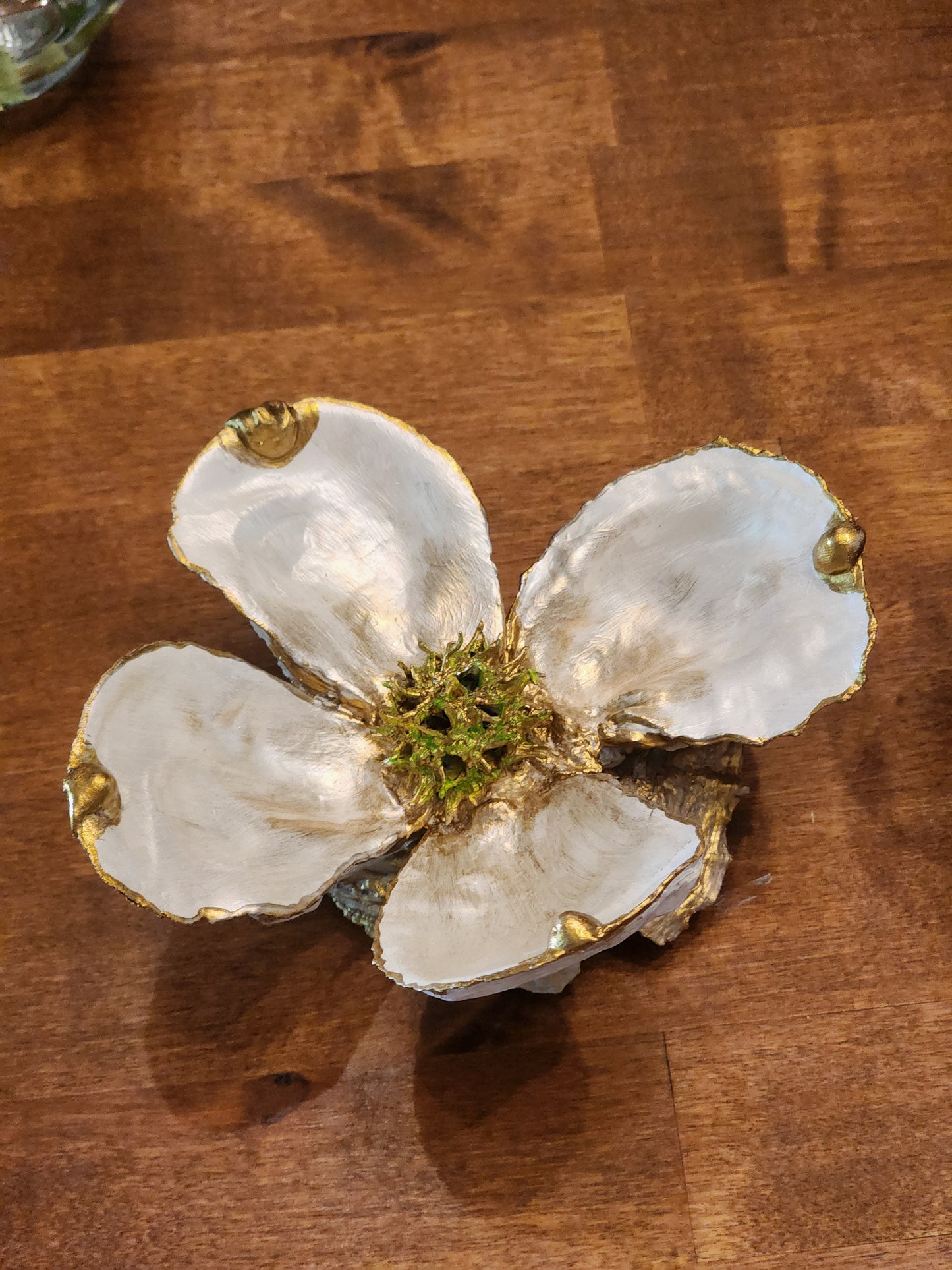 White Dogwood Bloom