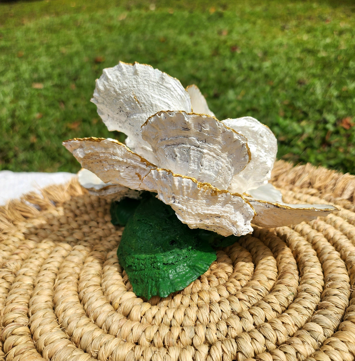 Magnolia Oyster Shell Bloom