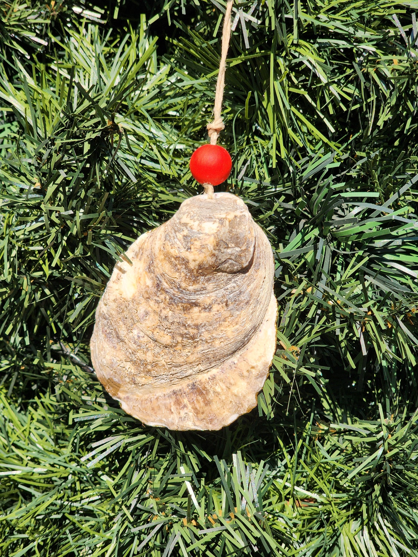 Christmas Palm - Oyster Shell Ornament