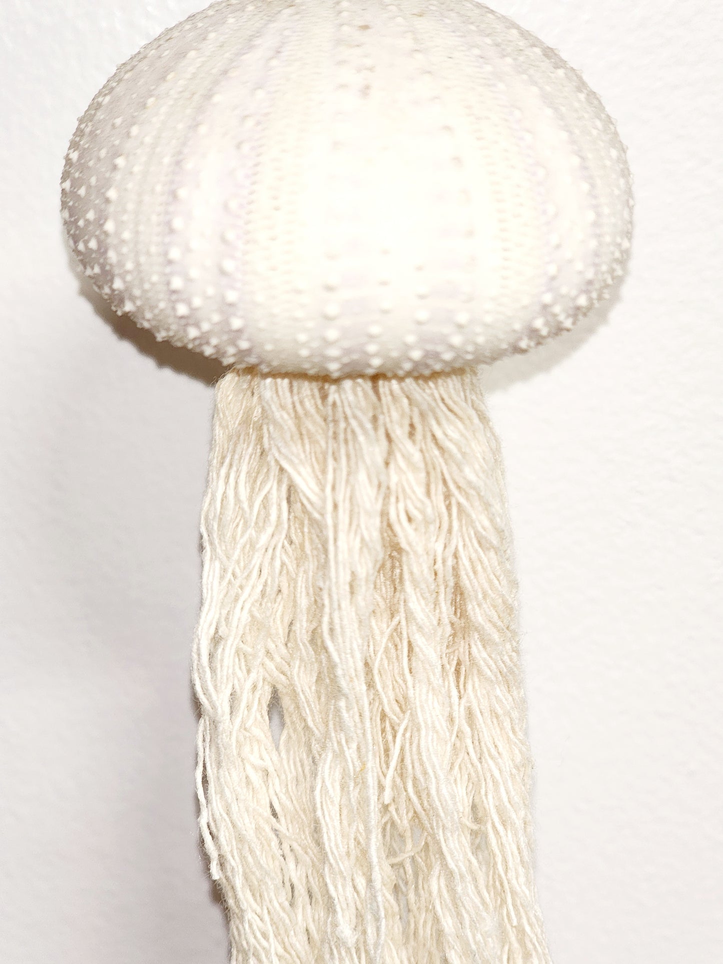 Small Sea Urchin Jellyfish Ornament - D