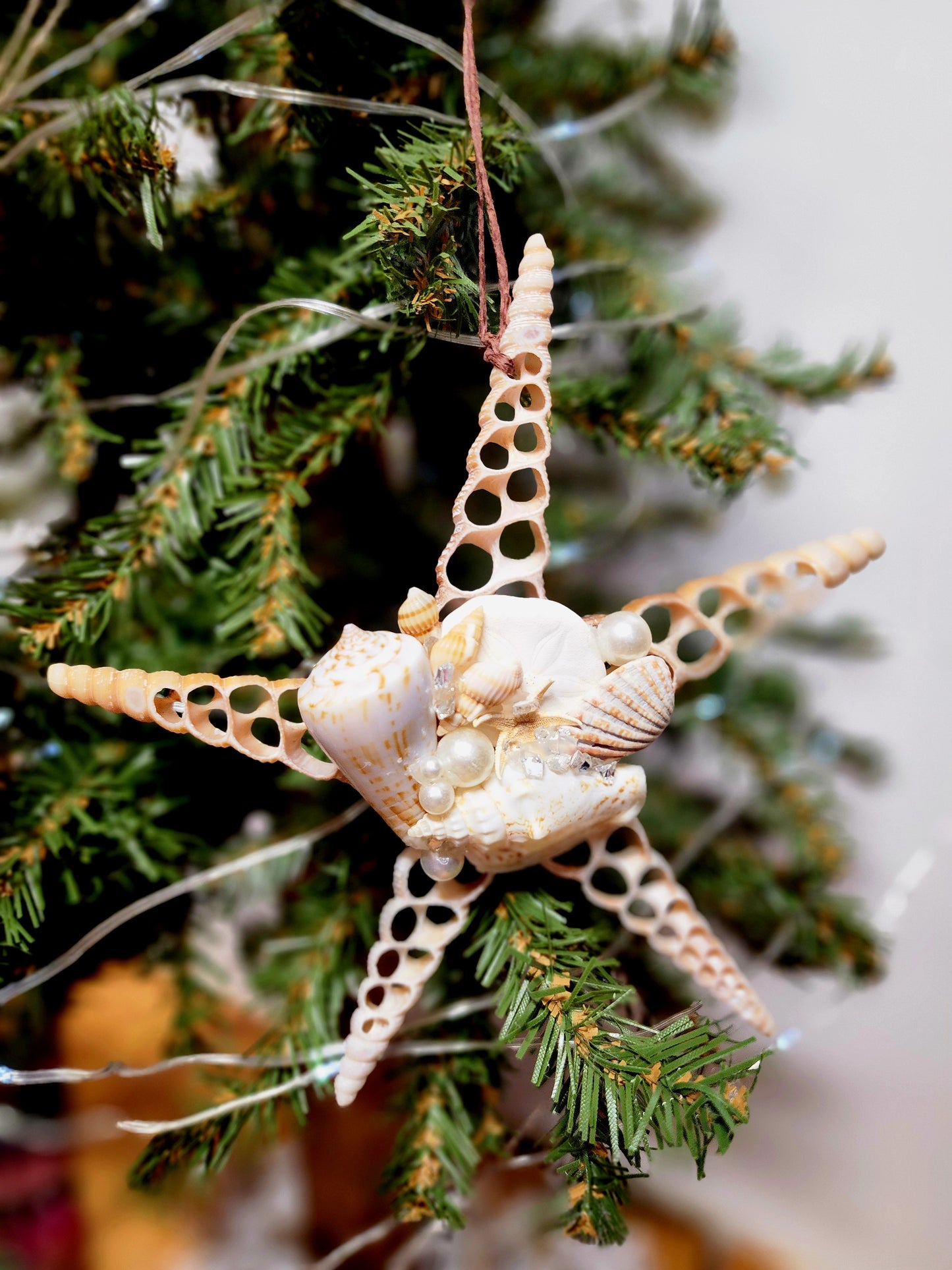 Half Shell Ornament # 7