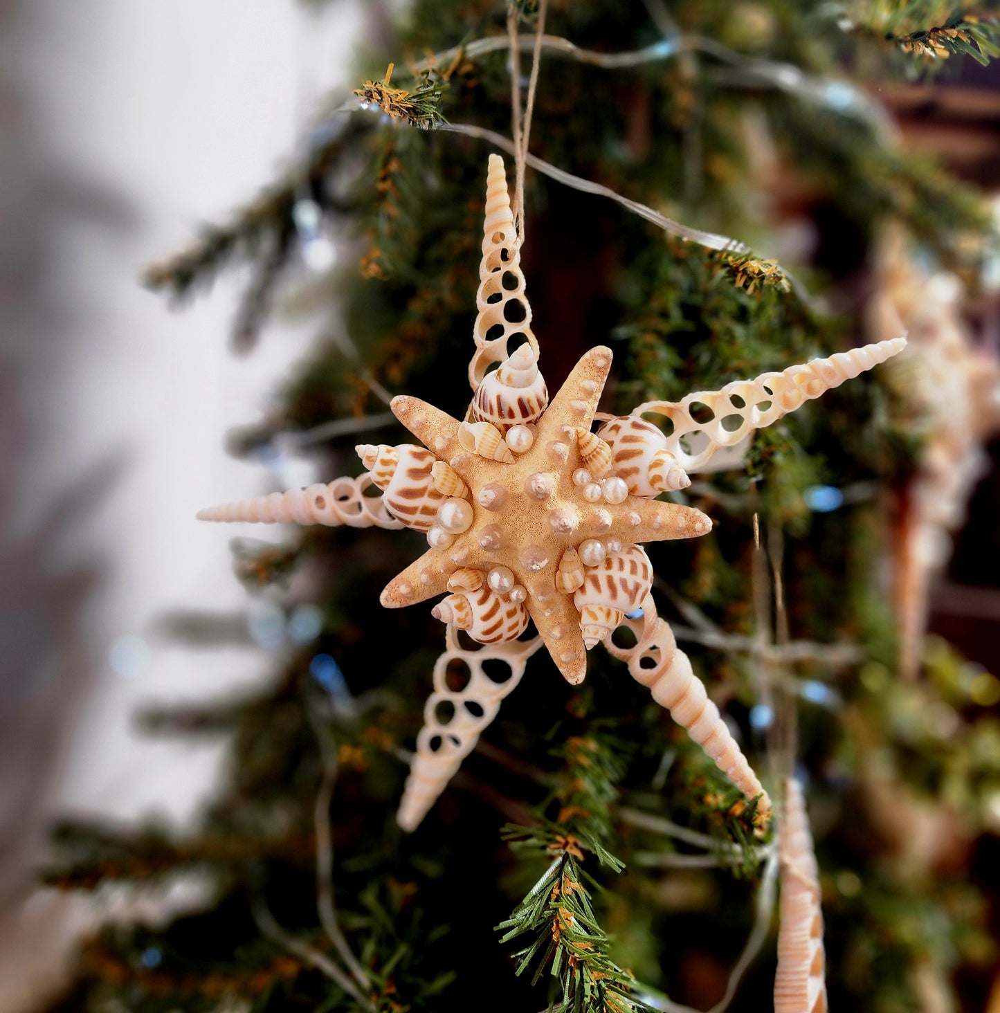 Half Shell Ornament # 3