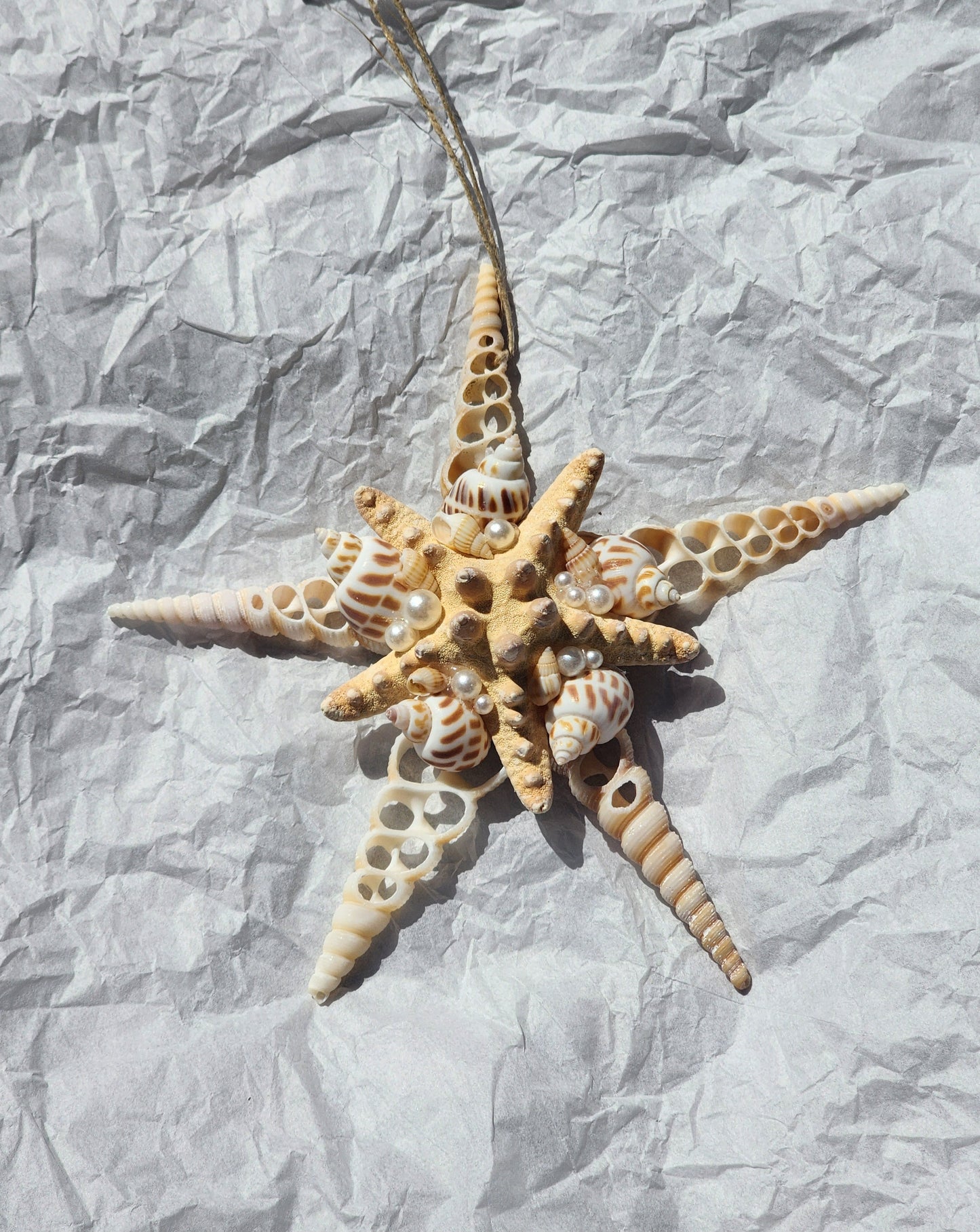 Half Shell Ornament # 3