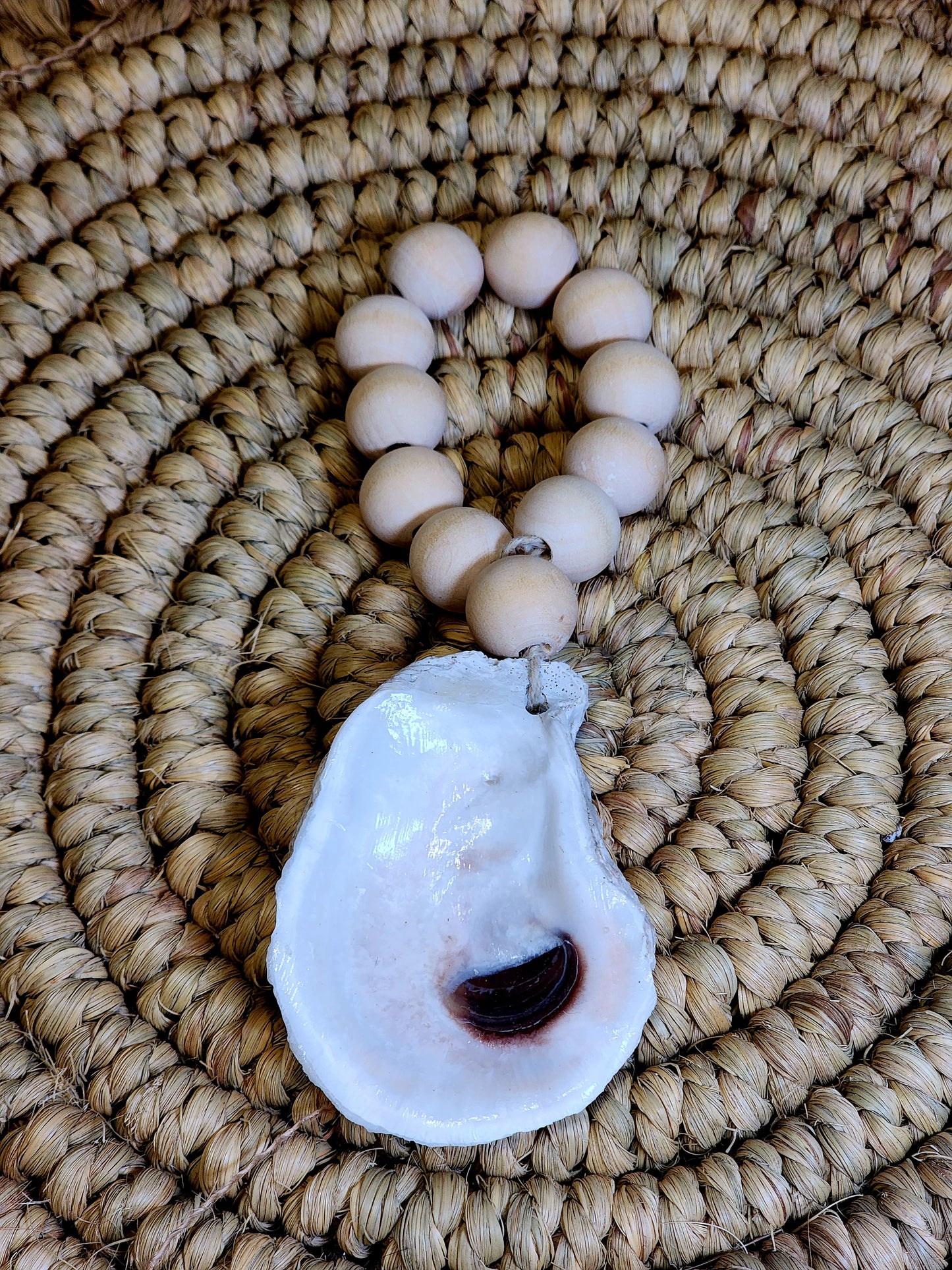 Natural Oyster Shell 1B