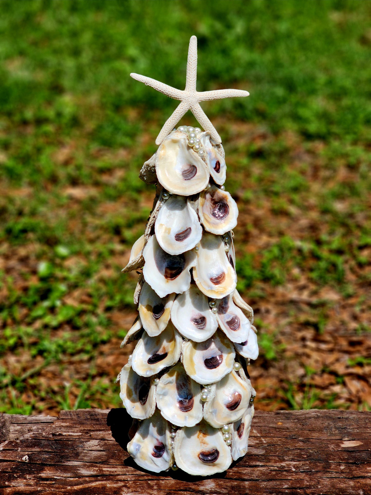 Oyster Shell Christmas Tree