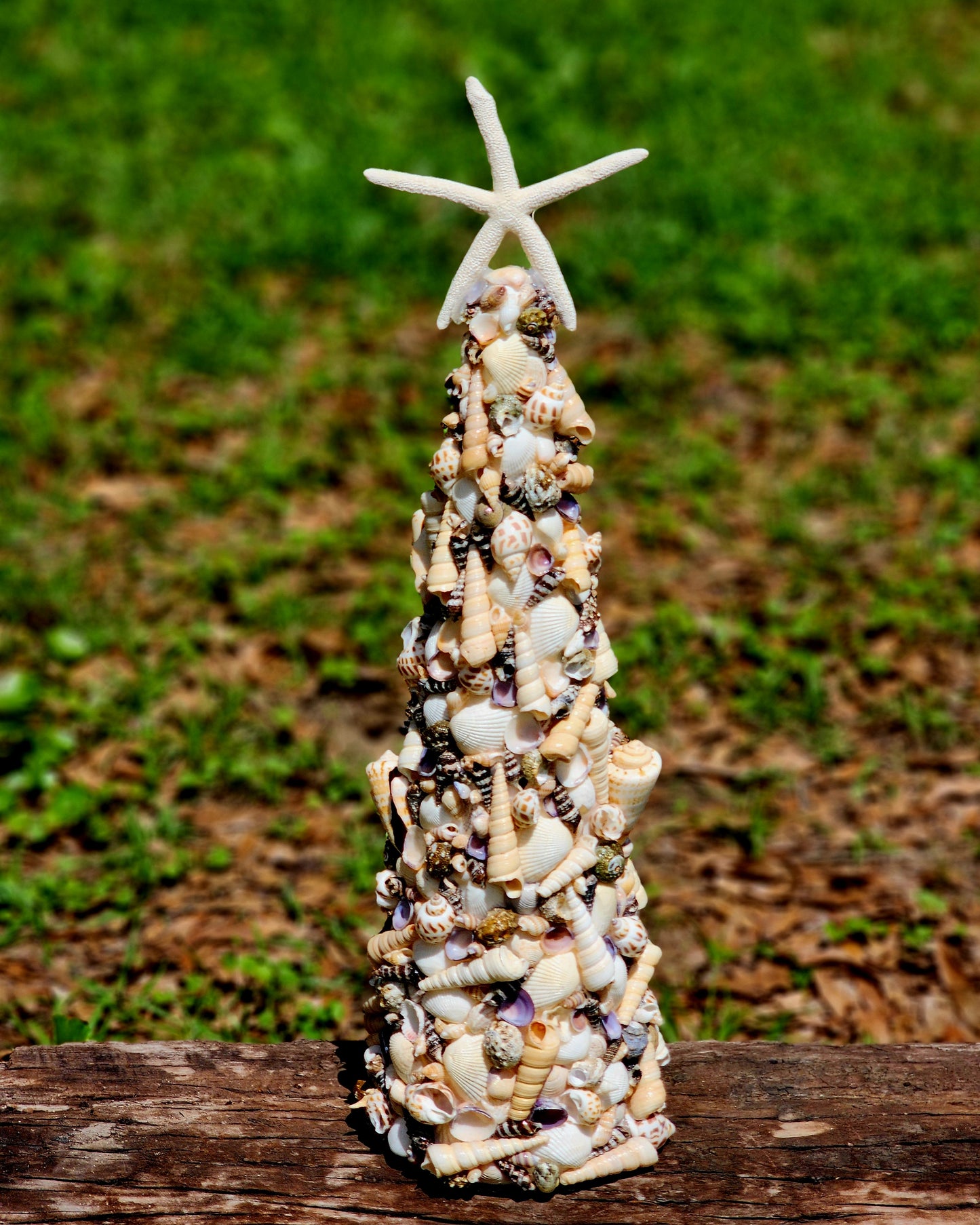 Multi Shell Christmas Tree