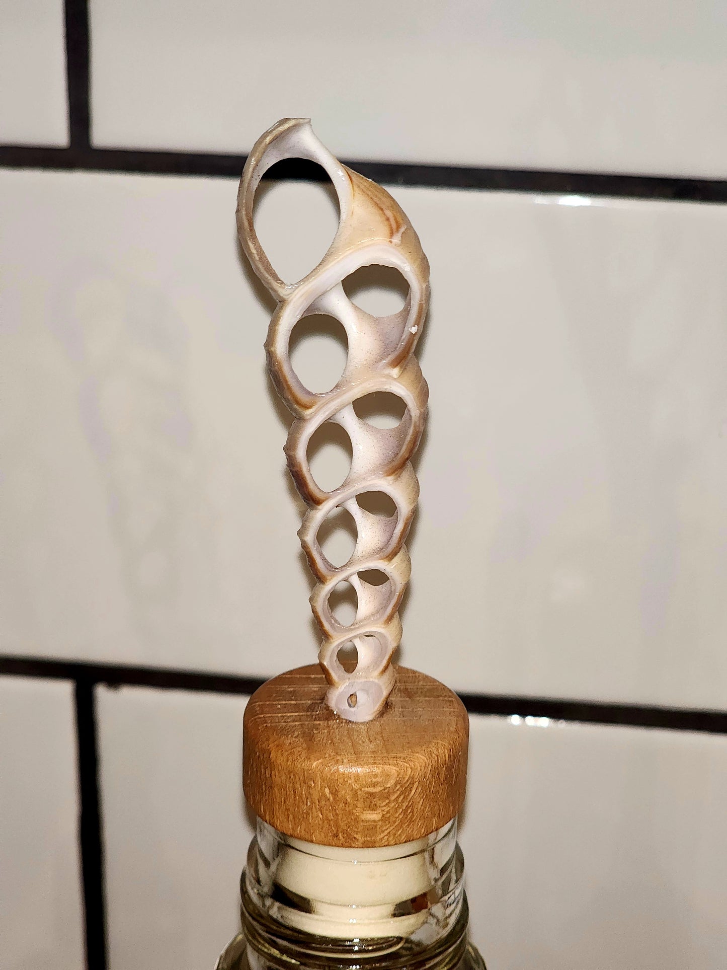 Wine Cork - B