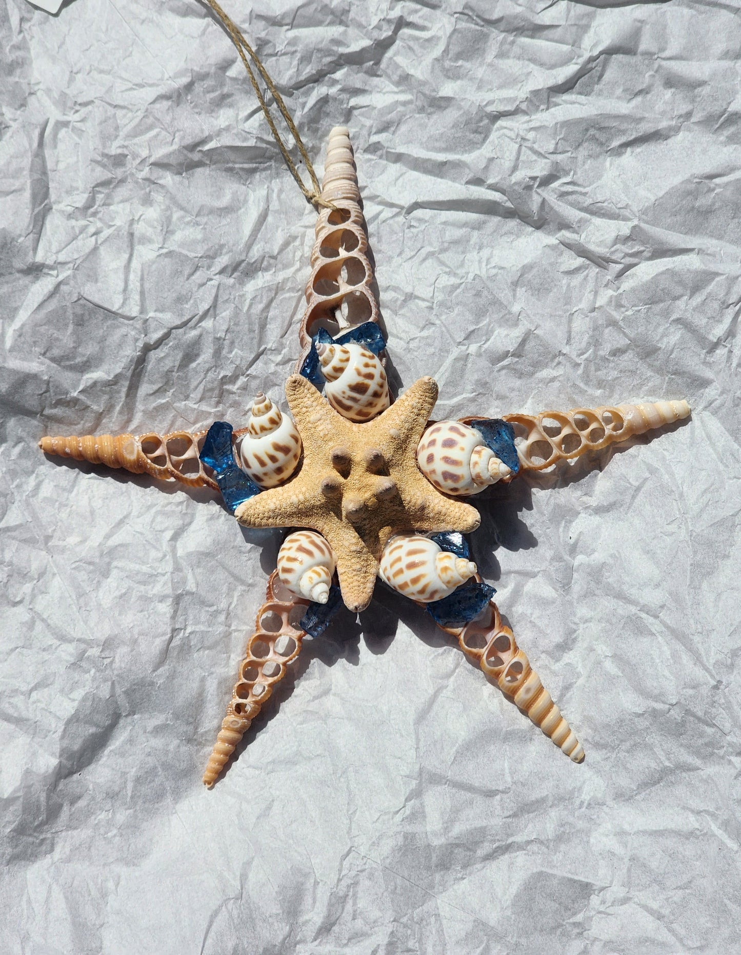 Half Shell Ornament # 4