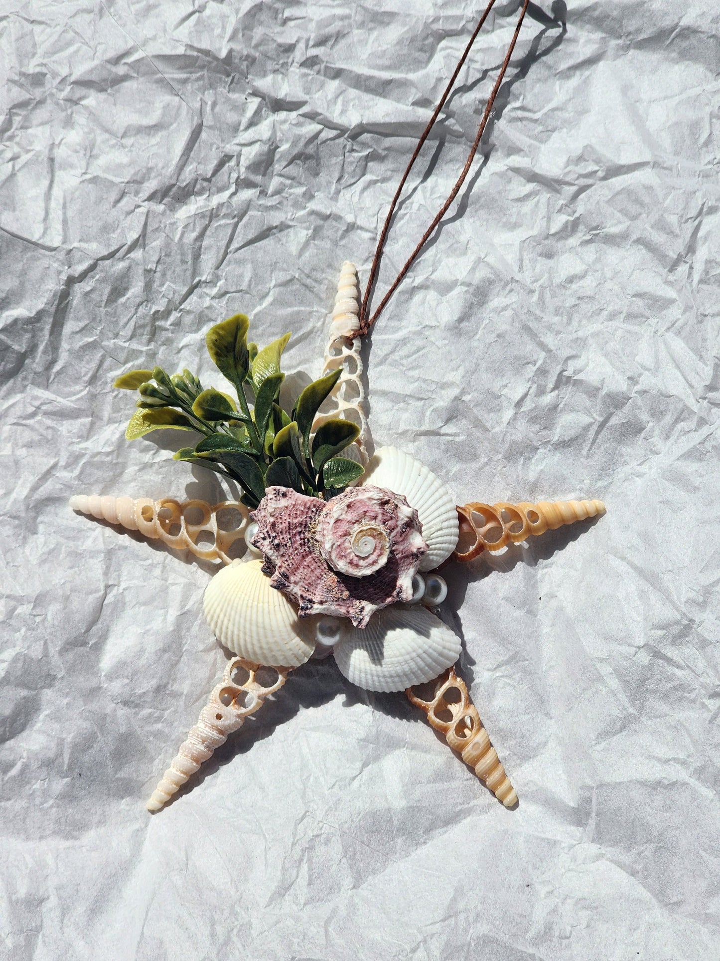 Half Shell Ornament # 6