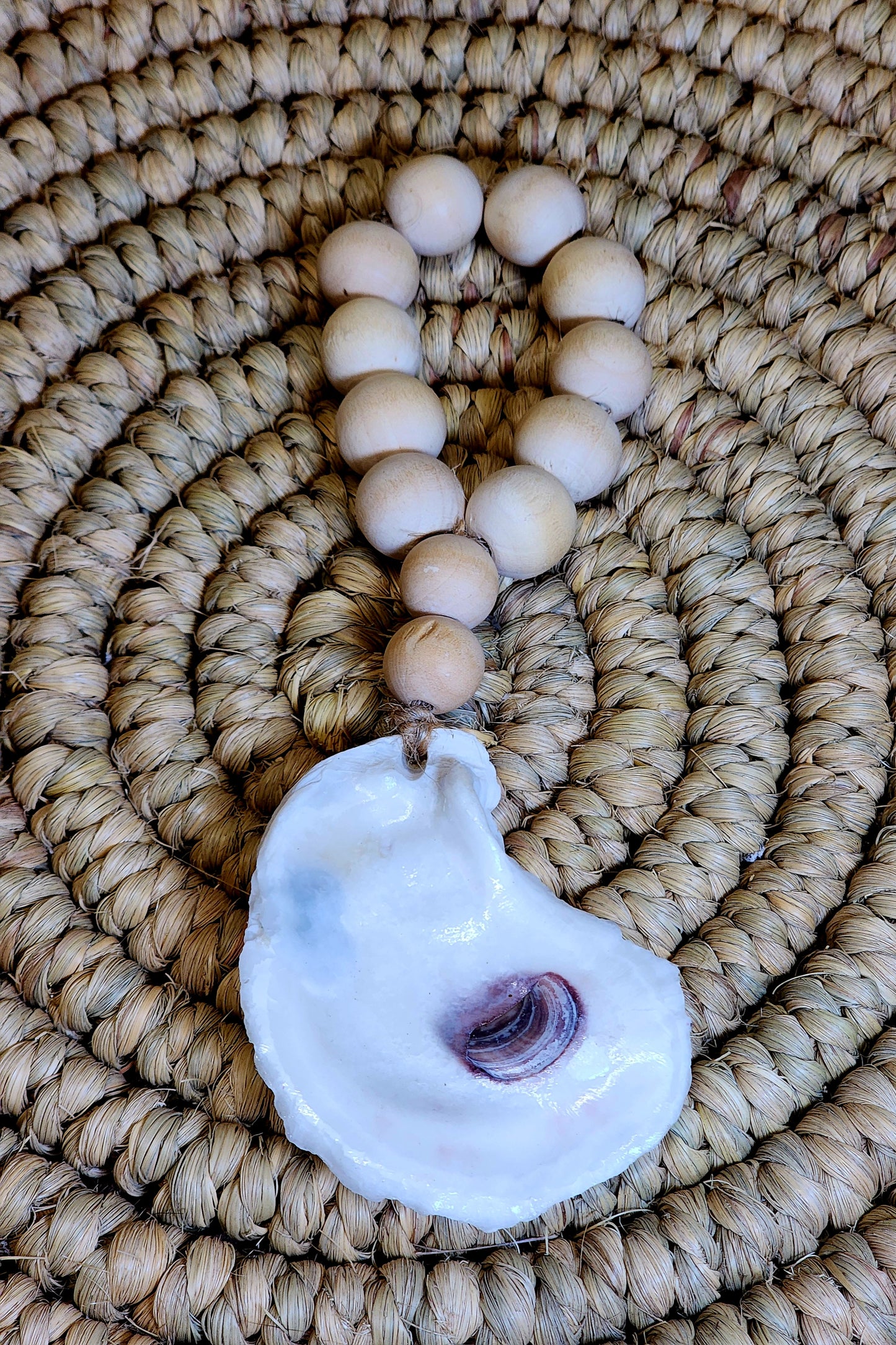 Natural Oyster Shell 2B