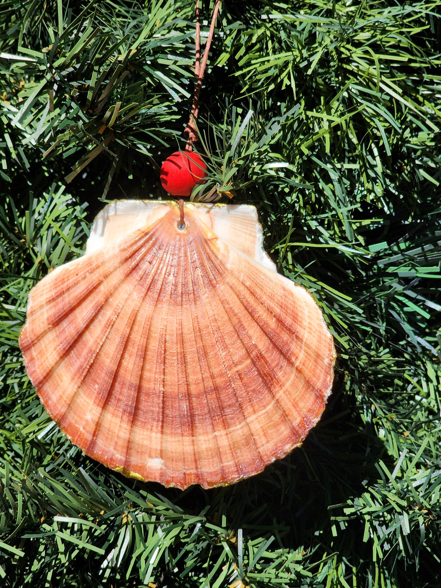 Beach Dogs Ornament