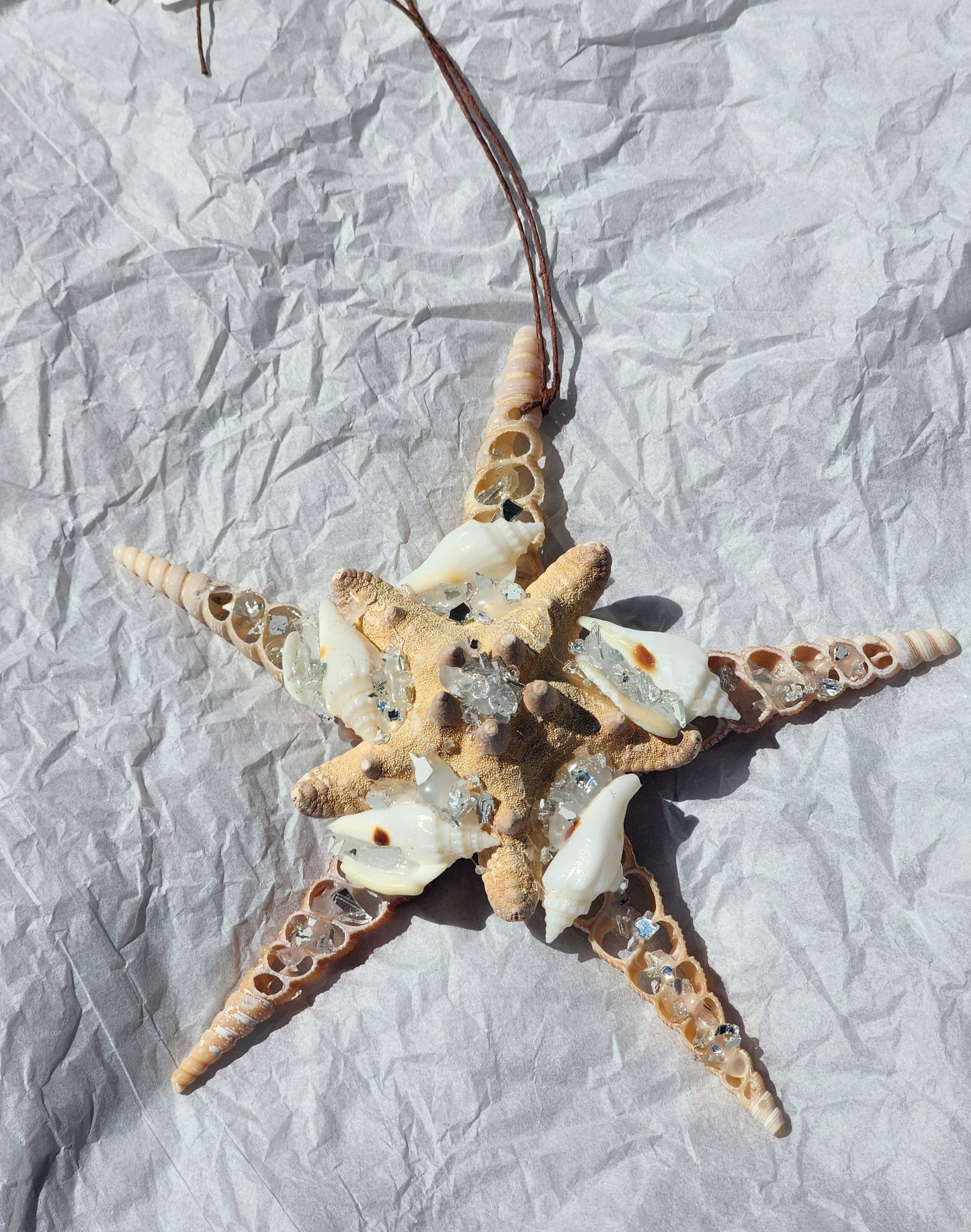 Half Shell Ornament #1