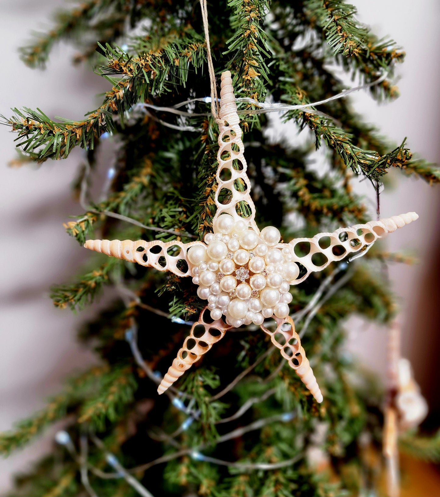 Half Shell Ornament # 9