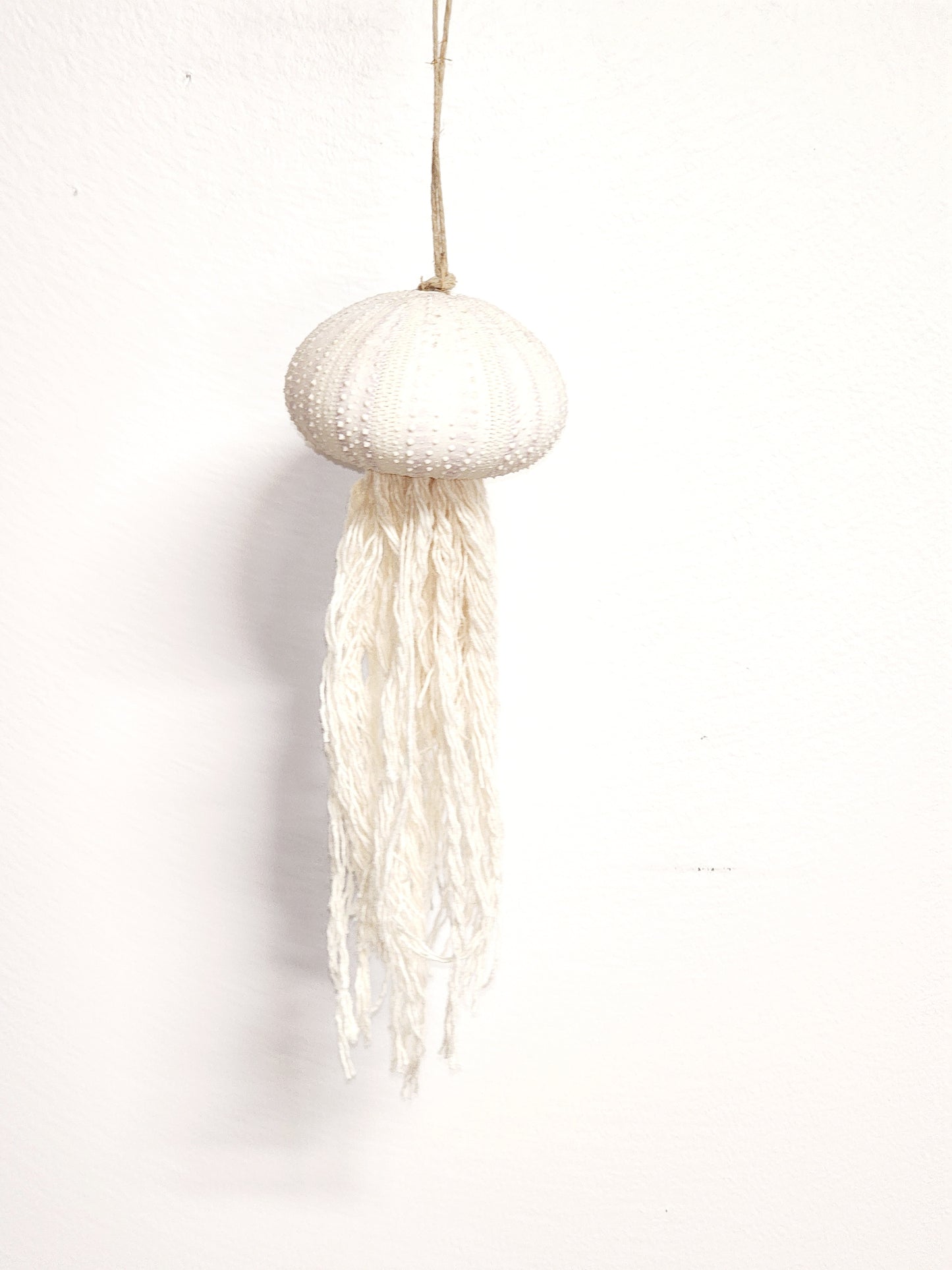 Small Sea Urchin Jellyfish Ornament - D