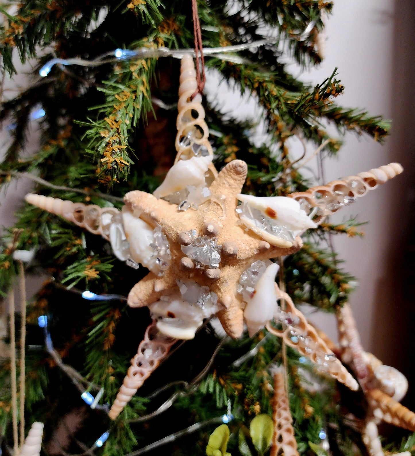 Half Shell Ornament #1
