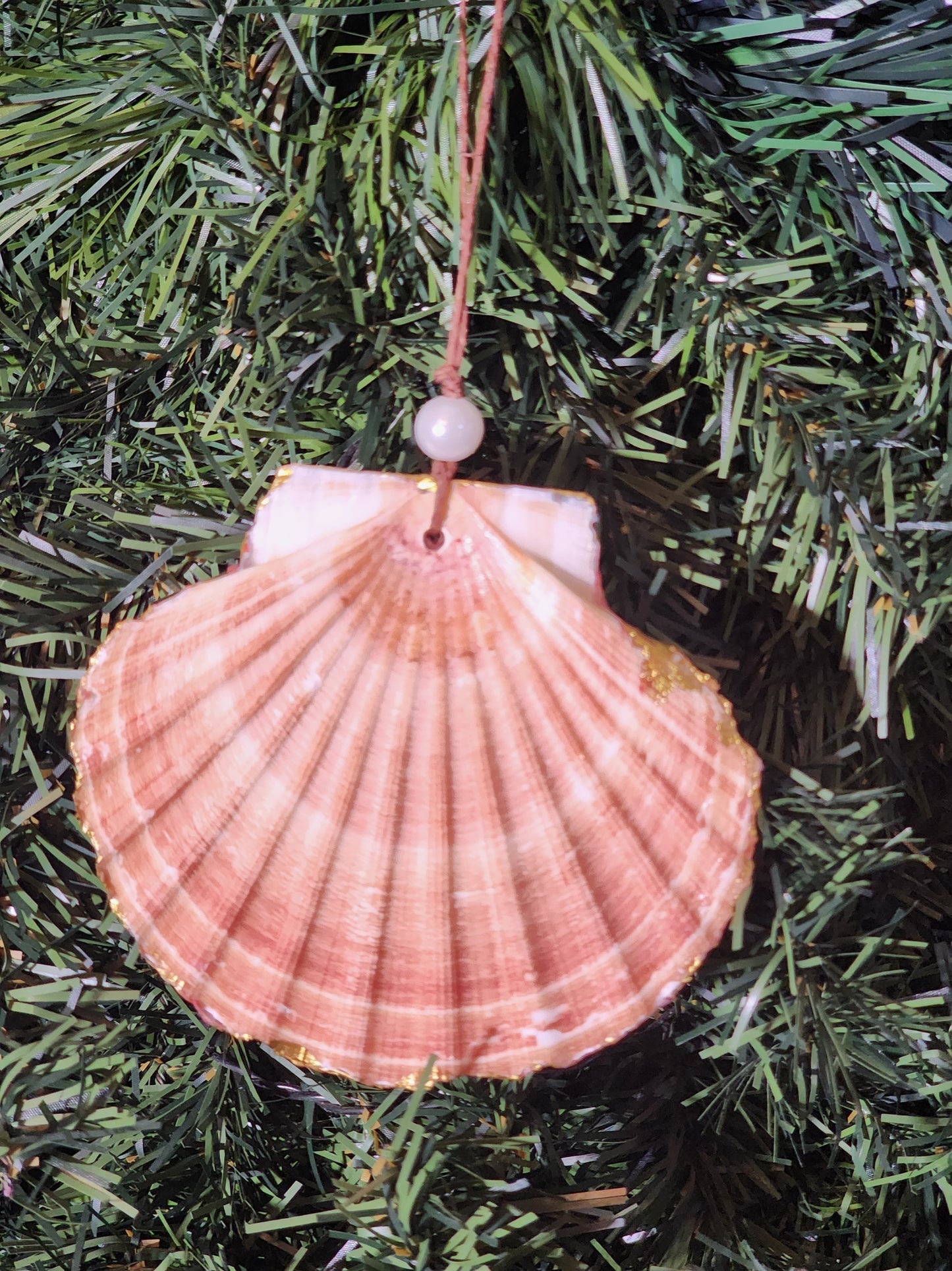 Me See Kittens Ornament