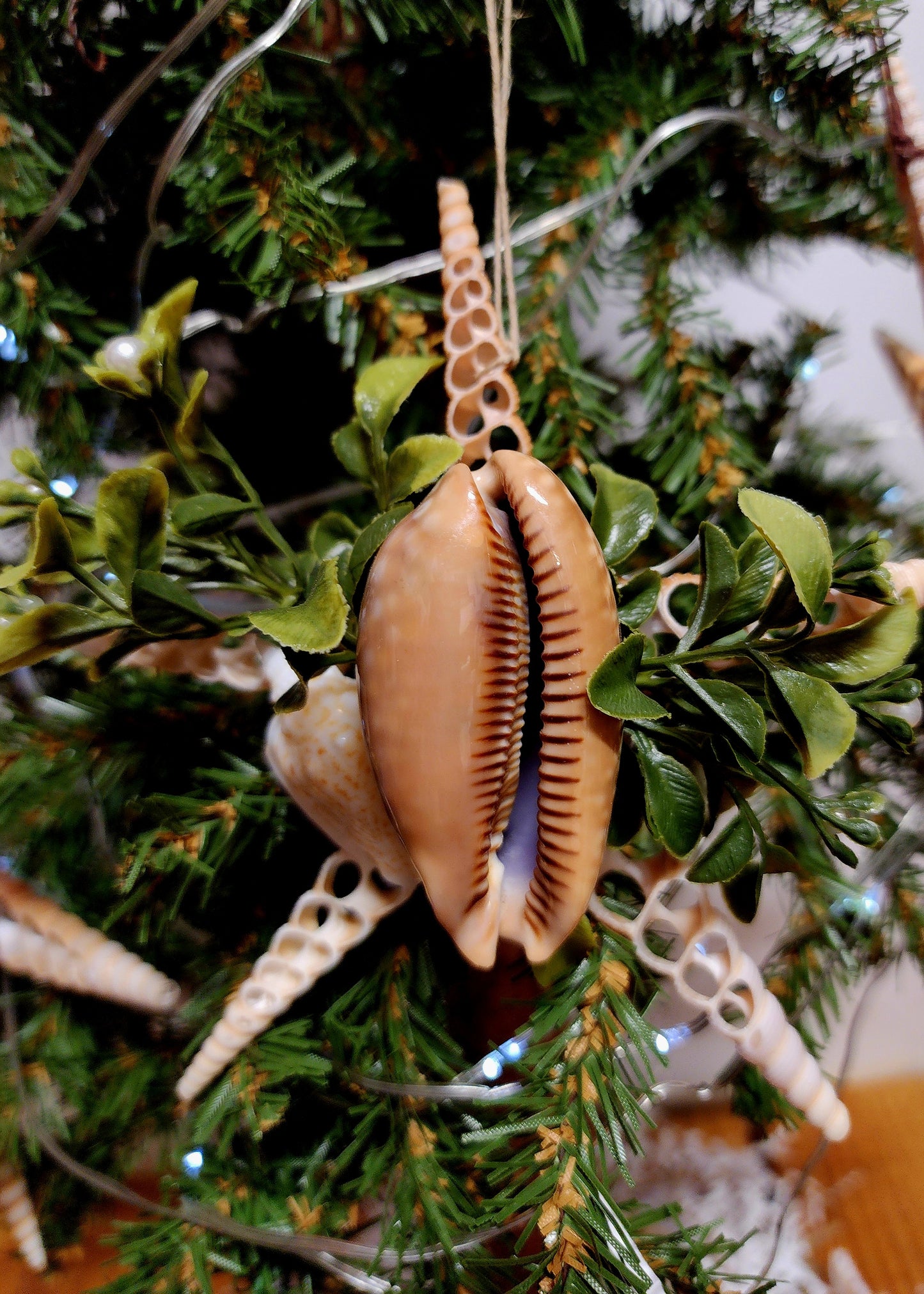 Half Shell Ornament # 8