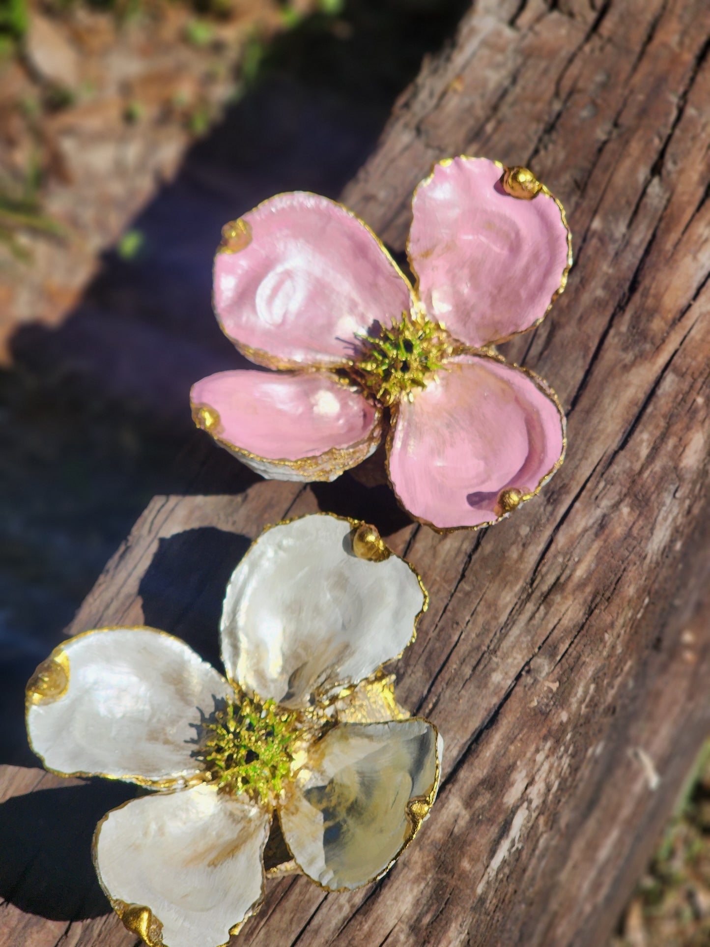 Pink Dogwood Bloom