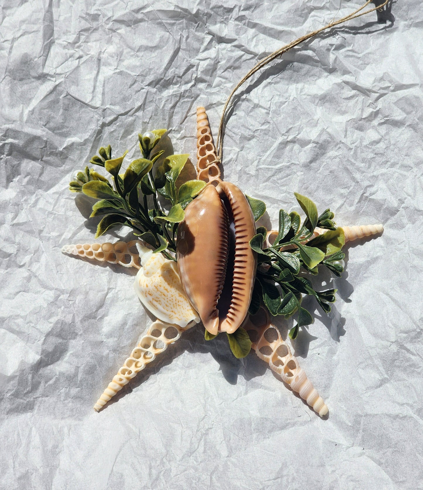 Half Shell Ornament # 8