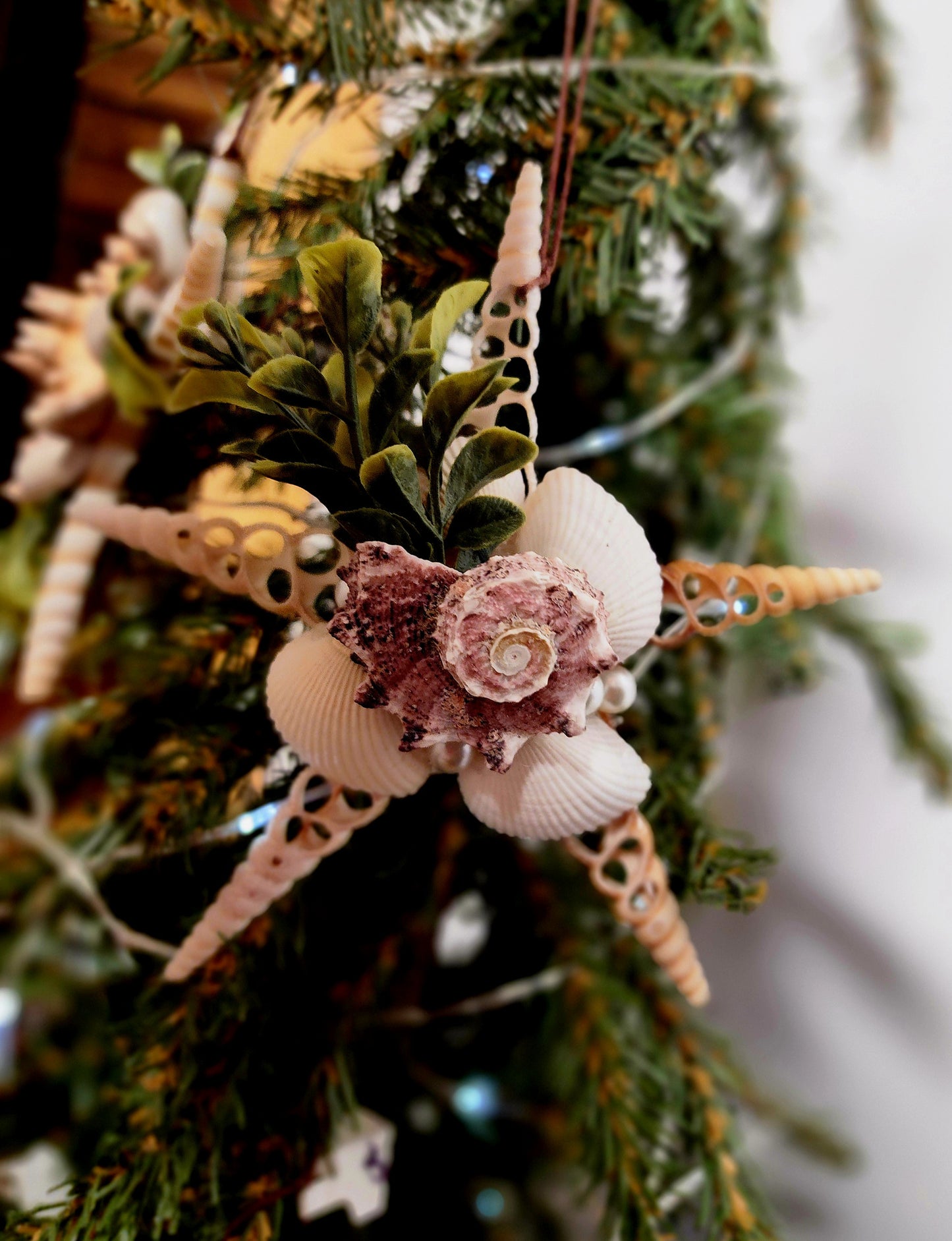 Half Shell Ornament # 6