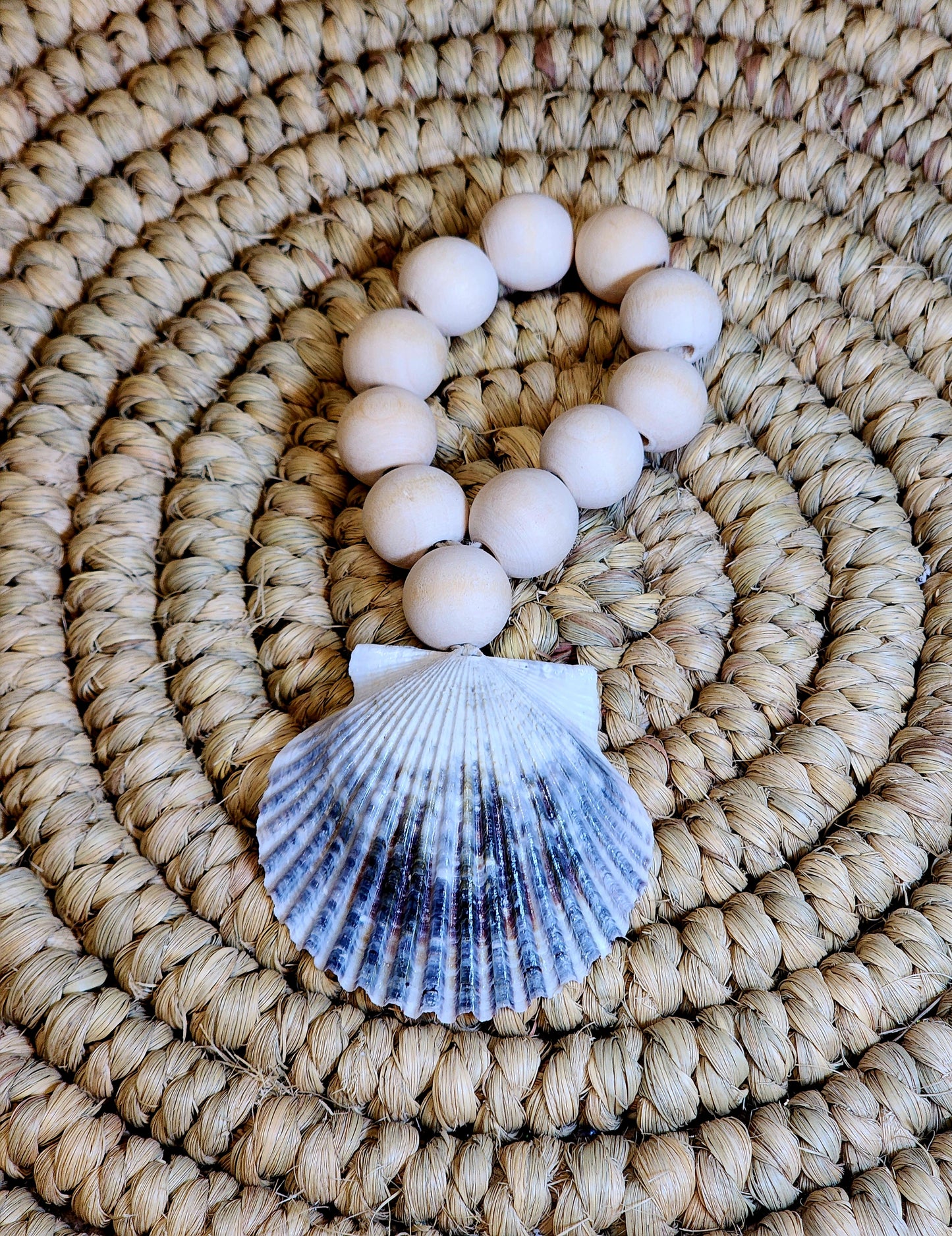 Natural Scallop Shell