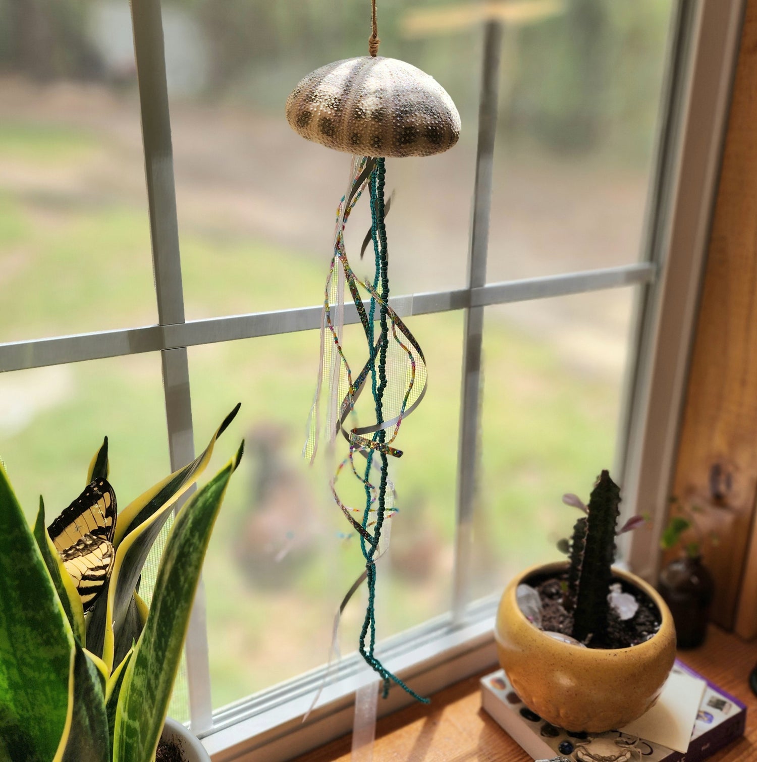 Sea Urchin Jellyfish Ornaments