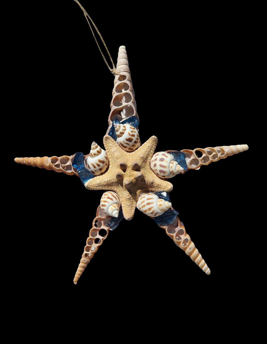 Half Shell Ornaments