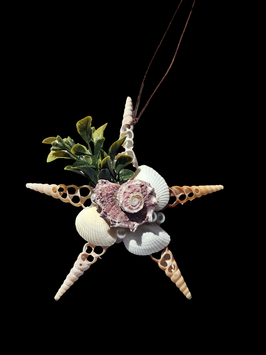 Half Shell Ornament # 6