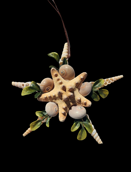 Half Shell Ornament # 5