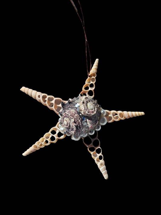 Half Shell Ornament #2