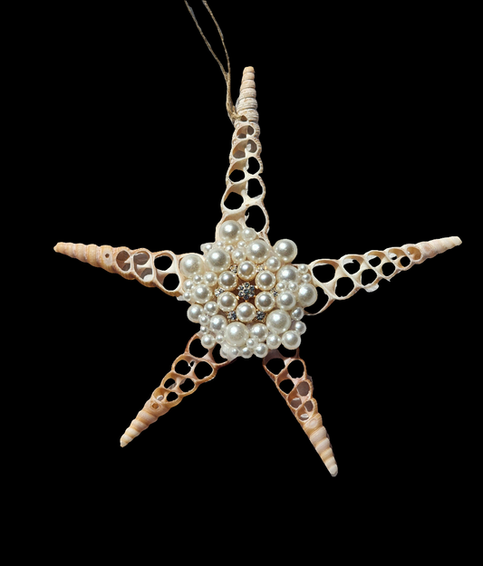 Half Shell Ornament # 9