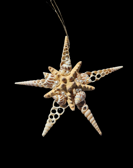 Half Shell Ornament # 3