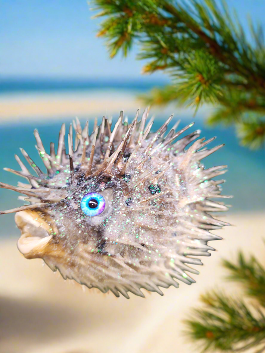 Blue Eyed Puffer