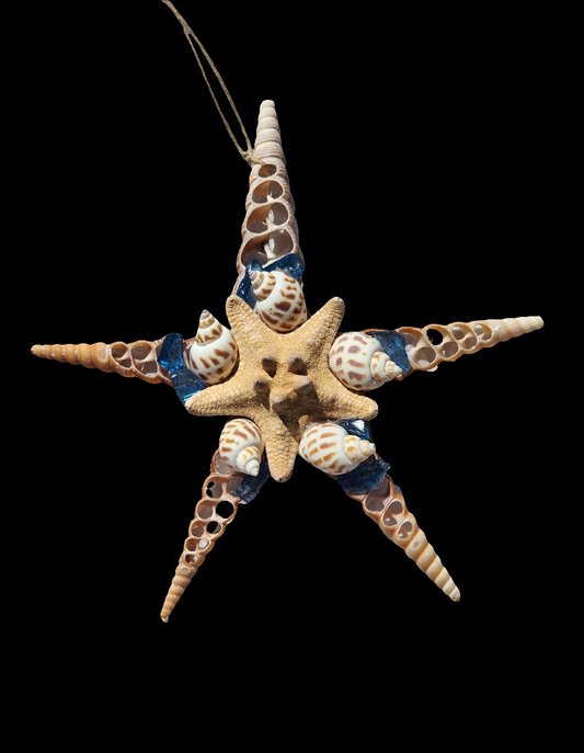 Half Shell Ornament # 4