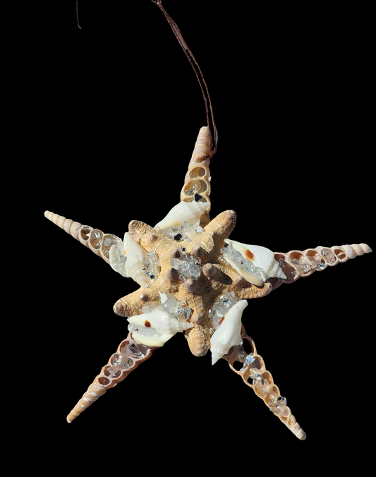 Half Shell Ornament #1