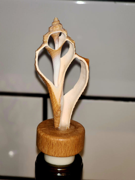 Wine Cork - C