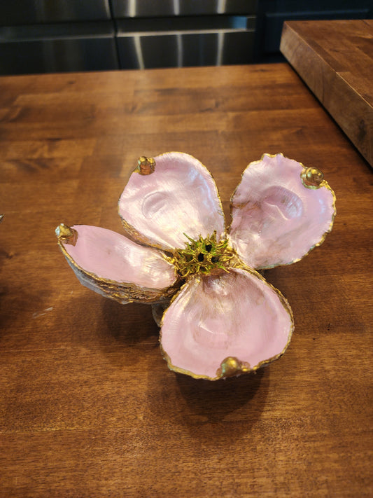 Pink Dogwood Bloom