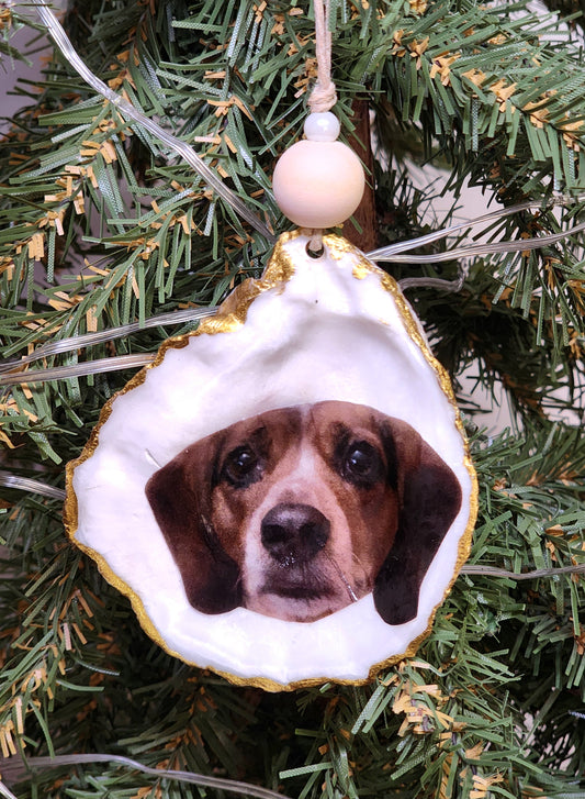 Custom Oyster Shell Ornament