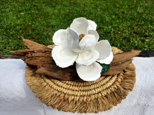 Magnolia on Driftwood Oyster Shell Bloom