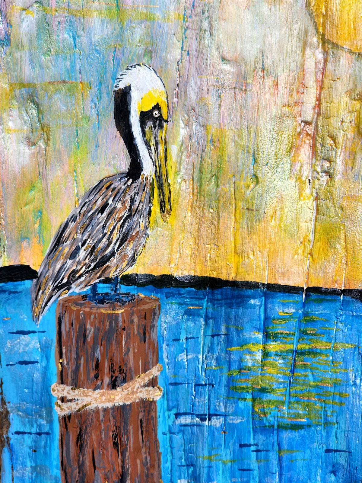 Pelican Sunset on Driftwood