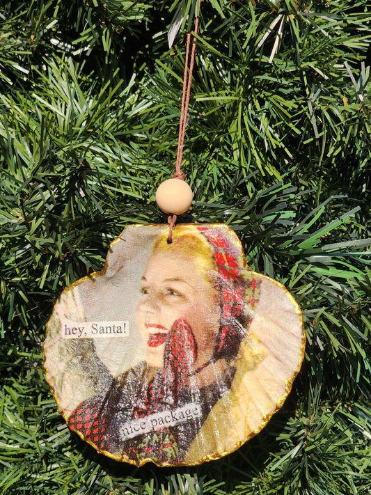 Nice Package Ornament