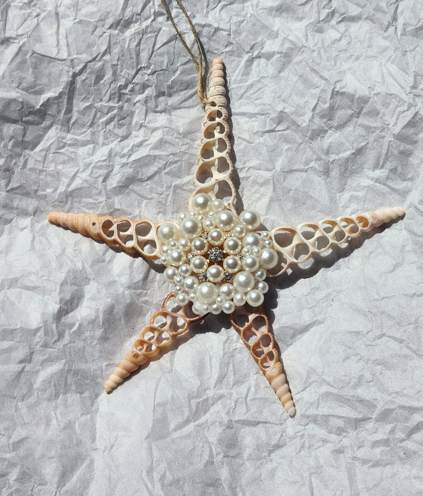 Half Shell Ornament # 9